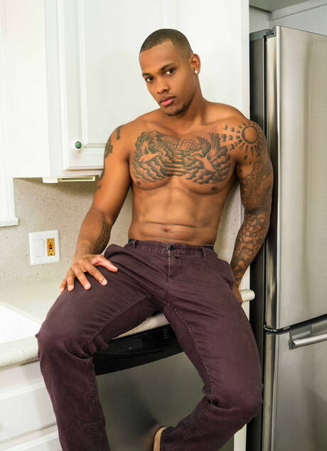 Gay Sex in Kitchen Pics
