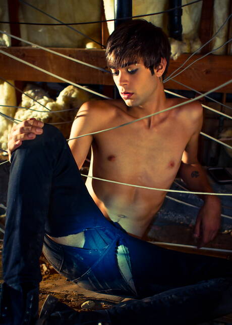Young Gay Pics