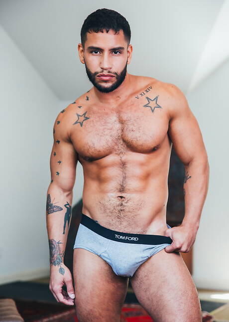 Hot american dudes bodybuilder Brock Banks and hairy stud Ty Mitchell in hot anal sex