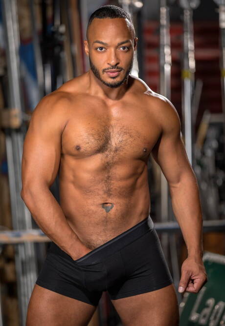 Pretty american boys young Austin Avery and hunk Dillon Diaz have a good interracial sex