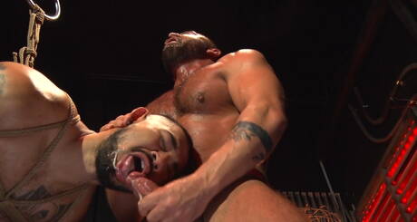 BDSM Gay Pics