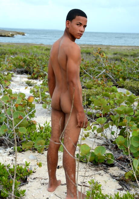 Gay Beach Pics